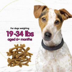 Ingredientes naturales de Fido con antioxidantes y omega