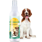 FidoFlix Go Here bottle-application demonstrates easy spray for quick spot training
