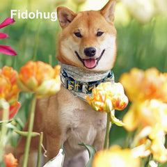 Fidohug floral-pattern collar worn by a dog for stylish look