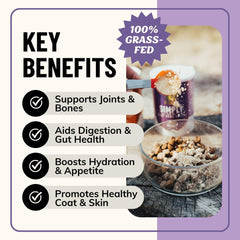 Fido's bone broth serving scoop demonstrates easy daily dosing for dogs.