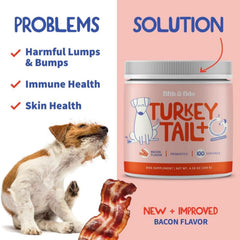 Fifth & Fido Lipoma Treatment reishi mushroom powder ingredient for vitality