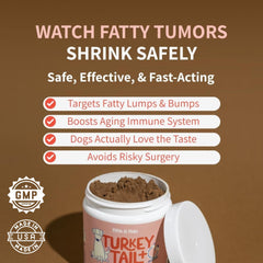 Fifth & Fido Reishi mushroom for dogs boosts vitality and longevity.