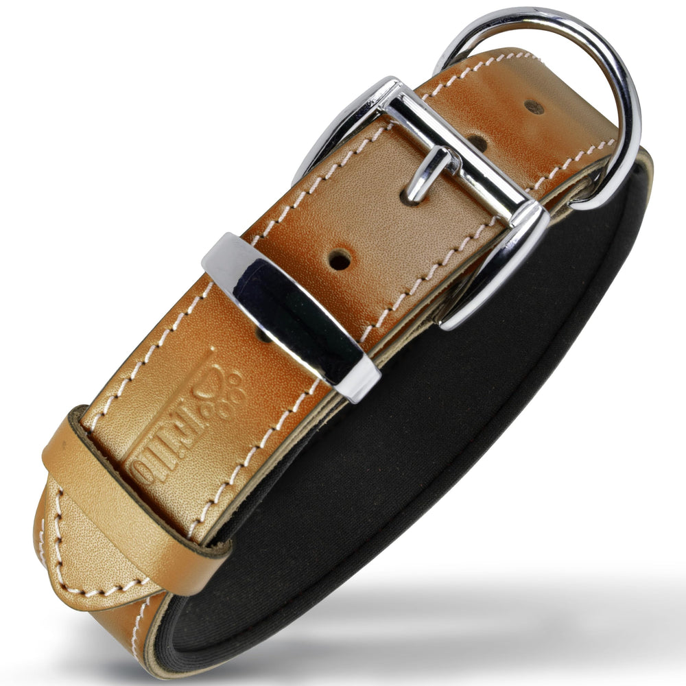 Filbert camel leather dog collar front view with pawprint embossing for durable daily wear.