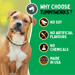 Finest For Pets TummyWorks dog eating chew demonstrates convenient daily routine.