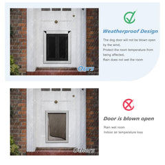 FingerPing dog using door demonstrates independent outdoor access.