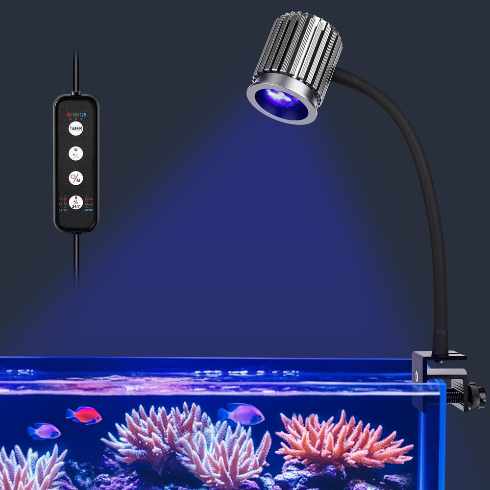 fishkeeper Clip-On 24/7 saltwater LED light provides steady reef colors for daily viewing.