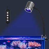fishkeeper Clip-On 24/7 saltwater LED light provides steady reef colors for daily viewing.