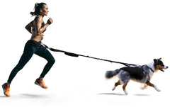 FITLY dog-running-waist-belt front view shows hands-free comfort during runs.