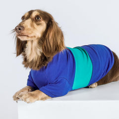Fitwarm color block striped dog shirt side view highlighting lightweight movement