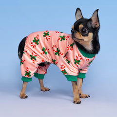 Fitwarm Candy Cane Dog Pajamas back view demonstrates four-leg coverage for secure wear.