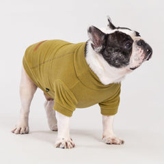 Fitwarm XXL size guide image; sizing details for Beagle, Corgi, and friends.
