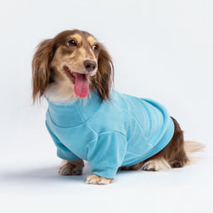 Fitwarm fleece sweater in grey for a calm cat on a chilly day