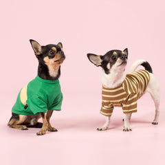 Fitwarm color-block sea green dog shirt keeps pup cool while playing.