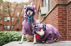 Fitwarm dog sweater lavender side view highlights versatile daily wear