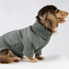 Fitwarm dog-turtleneck-sweater back view highlights warm, snug fit