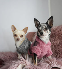 Fitwarm Fuzzy Dog Sweater back view shows full coverage for small dogs.