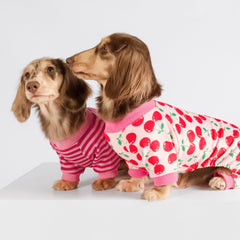 Fitwarm pijama-perro-cereza-con-pies, ideal para paseos fríos y protegidos.