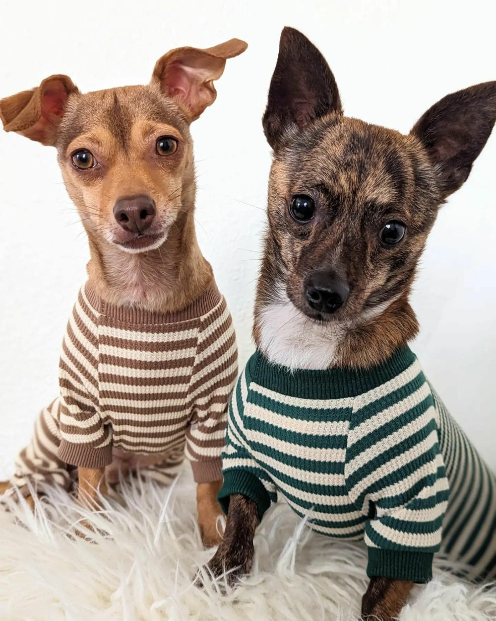 Fitwarm pijama para perro con pies, ideal para climas fríos