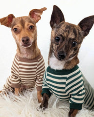 Fitwarm pijama para perro con pies, ideal para climas fríos