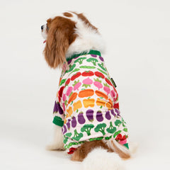 Pijama Fitwarm de cuerpo completo para perro, cubre torso y patas.
