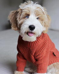 Fitwarm red thermal dog sweater back view shows snug fit