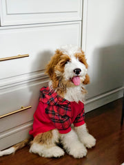 Fitwarm tartan plaid dog hoodie hood closeup, soft inner feel and secure fit