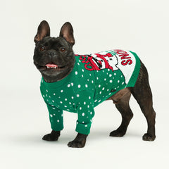 Fitwarm winter dog sweater in red keeps small pets cozy outdoors.