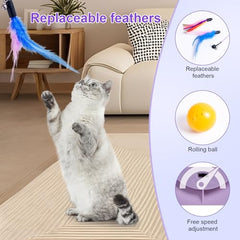 FITWOWFIT cat toy with rotating track and balls sparks pawing and interactive fun.