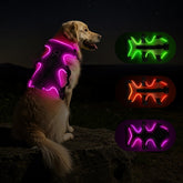 Fiveda light up dog harness front view shows vivid RGB LEDs for enhanced night visibility.