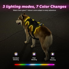 Fiveda light up dog harness with RGB modes captures color-changing visibility for park adventures.