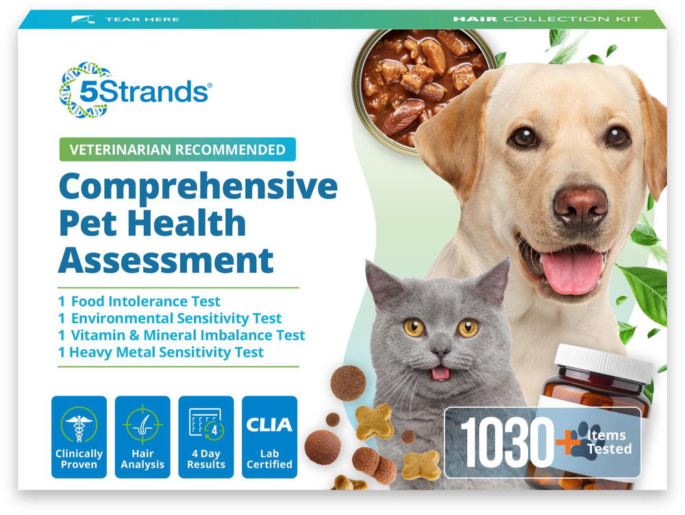 5Strands pet intolerance test kit collection enables a personalized diet plan.