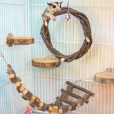 FLAdorepet apple wood sugar glider swing offers natural enrichment and active play.