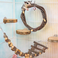 FLAdorepet apple wood sugar glider swing offers natural enrichment and active play.