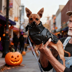 FLAdorepet cool dog leather jacket back view showcasing waterproof, windproof design