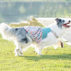 FLAdorepet dog dress size guide visualizes 6XL chest measurement for proper fit