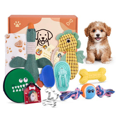Flair Gifts Welcome Puppy Starter Kit unboxing reveals a cozy, engaging first-week setup for a new puppy.
