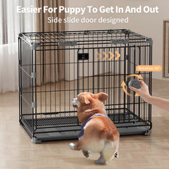 FLARUZIY dog crate collapsible frame demonstrates easy setup for travel and storage.