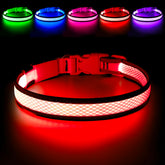 Flashseen LED dog collar ruby red front view showing high visibility for night walks