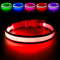 Flashseen LED dog collar ruby red front view showing high visibility for night walks