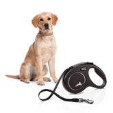 FLEXI New Classic M 5m black tape leash, compact reel for everyday walks.