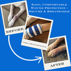 FlexTran Proud Pet Patches cat leg bandage demonstrates discreet, comfortable wound care.