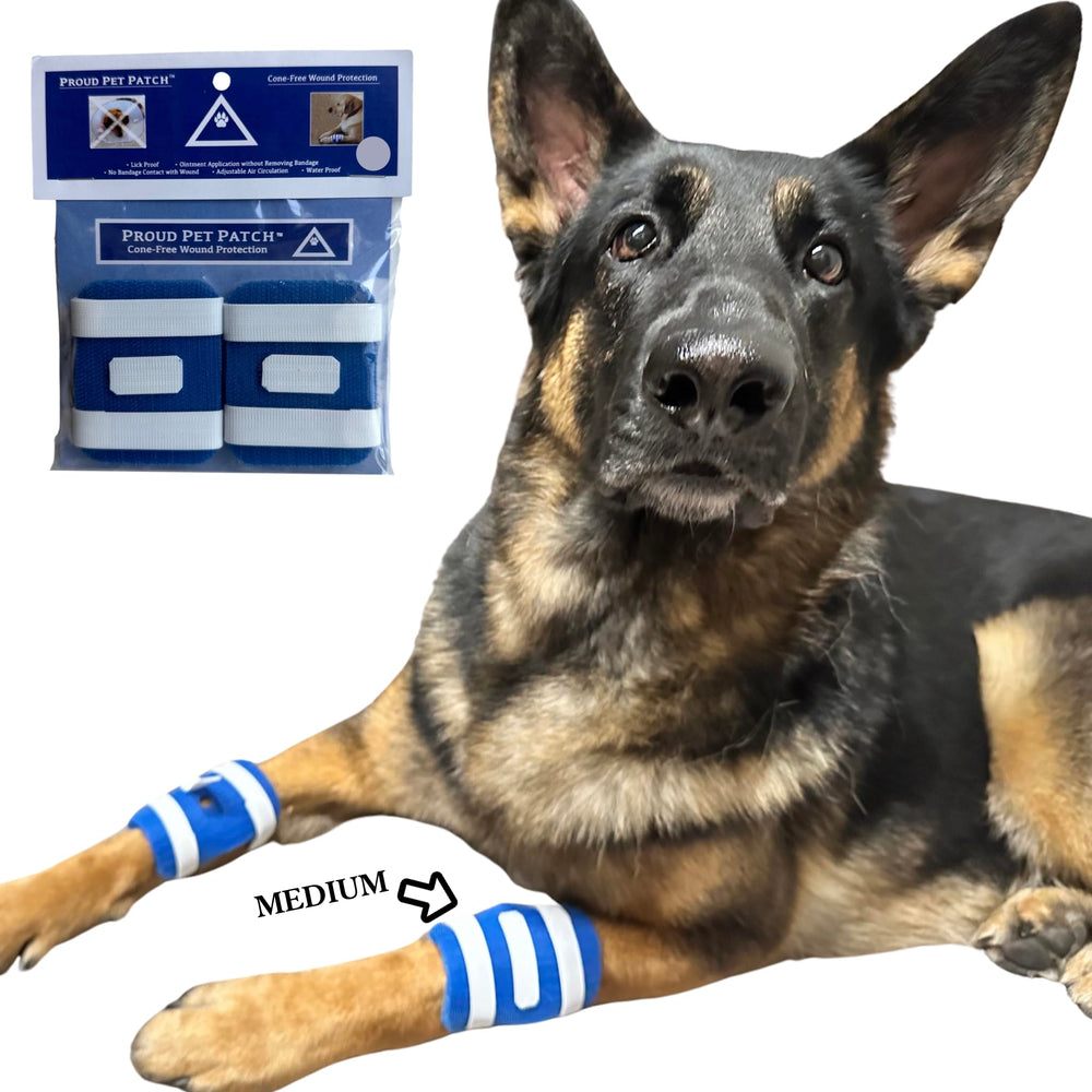FlexTran Proud Pet Patches dog paw closeup provides steady wound protection.