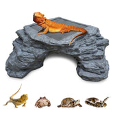 Flitsvuur large basking platform top view ideal for extended basking sessions