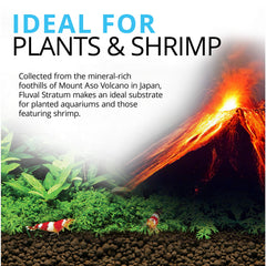 Fluval Plant and Shrimp Stratum roots weaving through the substrate for strong nutrient uptake.