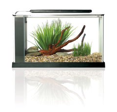 Fluval SPEC etched glass with aluminum trim for a stylish desktop aquarium