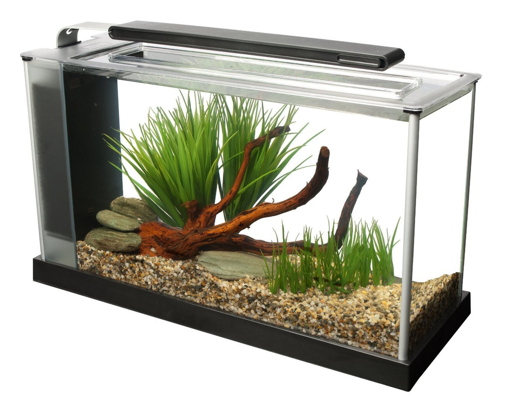 Fluval SPEC LED lighting overview with bright 7000K illumination for vibrant colors