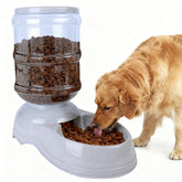 Flying Dove automatic dog feeder 3-gallon front view for convenient large-breed meals.