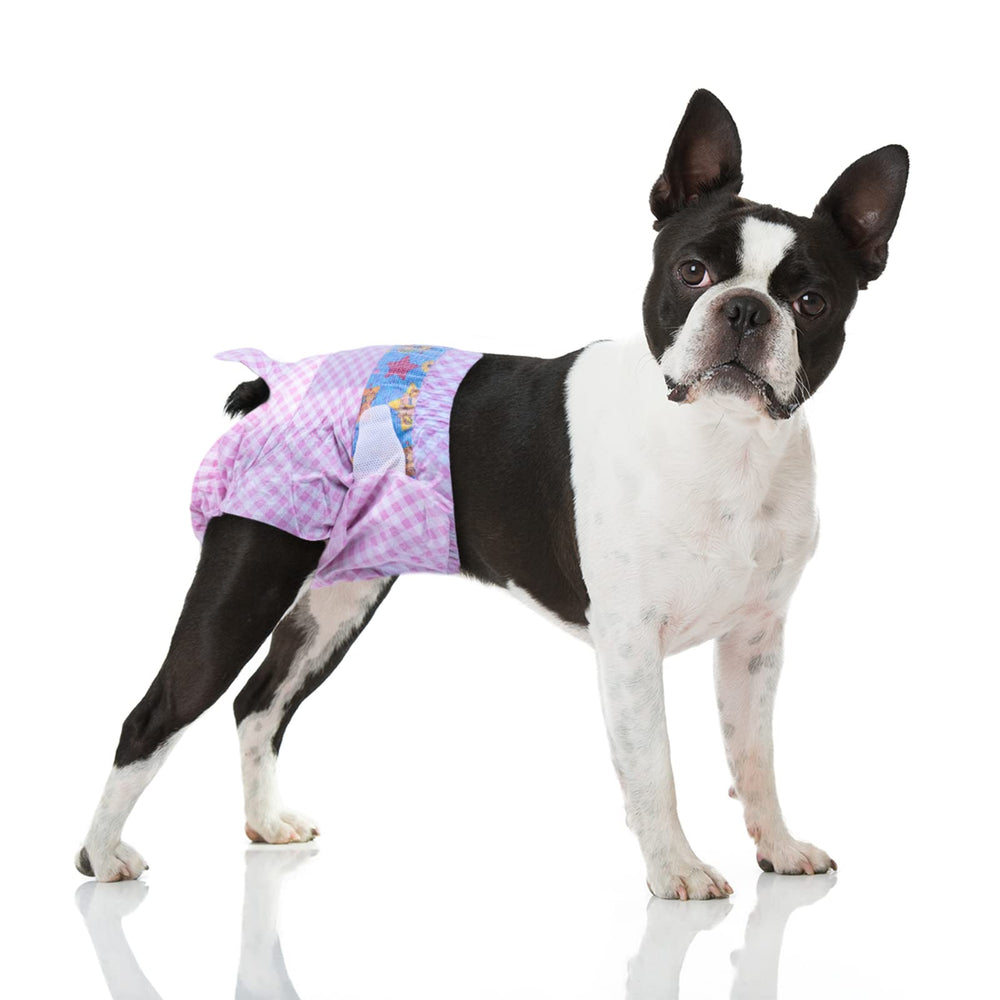 Flying Paws disposable female dog diapers packaging shows easy-to-use design for on-the-go protection.