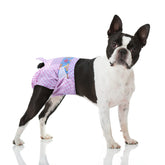 Flying Paws disposable female dog diapers packaging shows easy-to-use design for on-the-go protection.