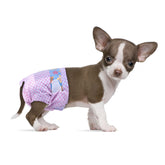 Flying Paws disposable female dog diapers packaging shows XXS option for on-the-go protection